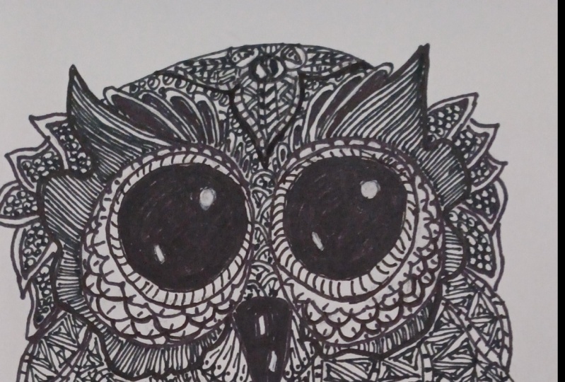 owl
