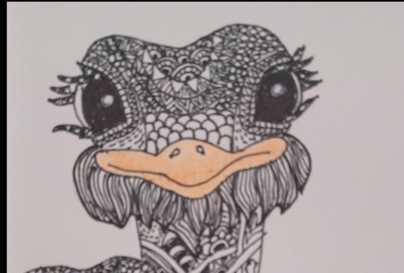 ostrich