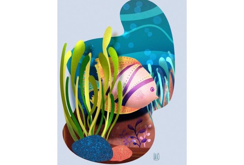 Under the Sea