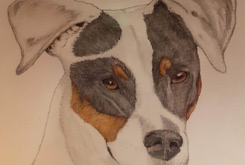 Filou drawing using the grid