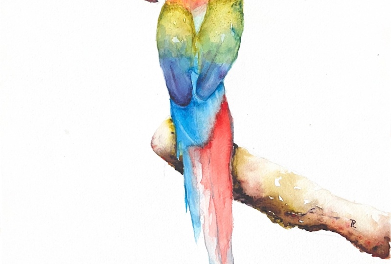 Parrot