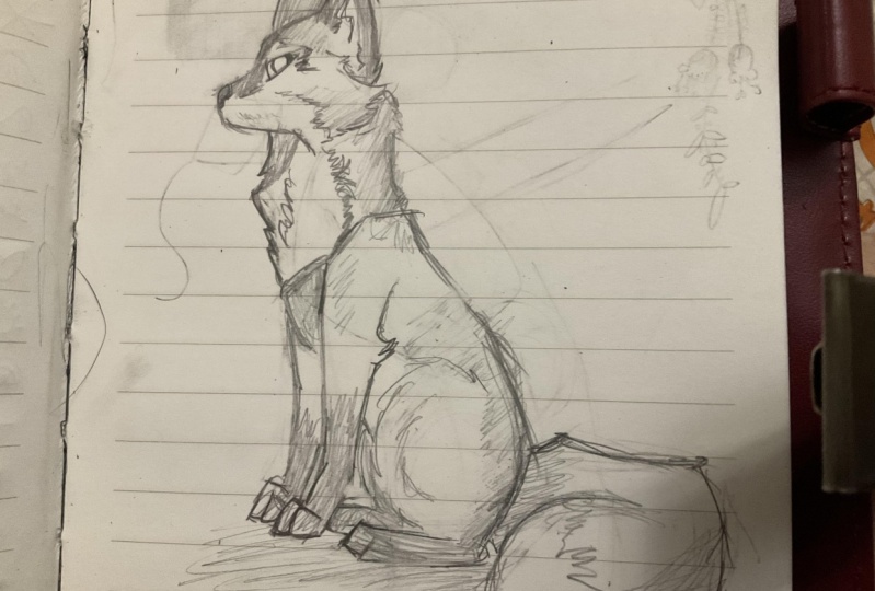 My Fox