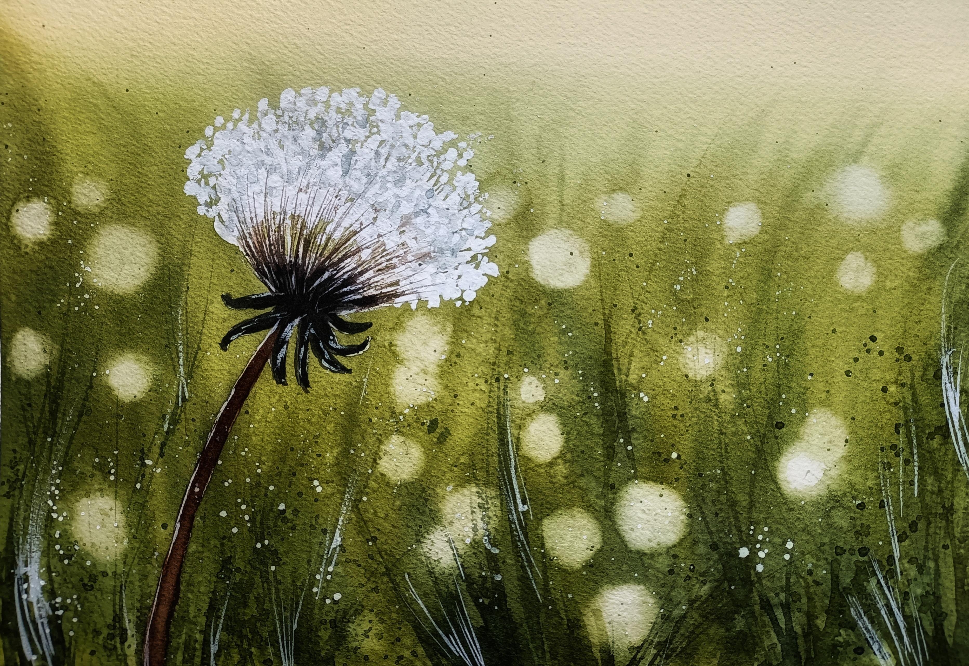 Dandelion & Bokeh - student project