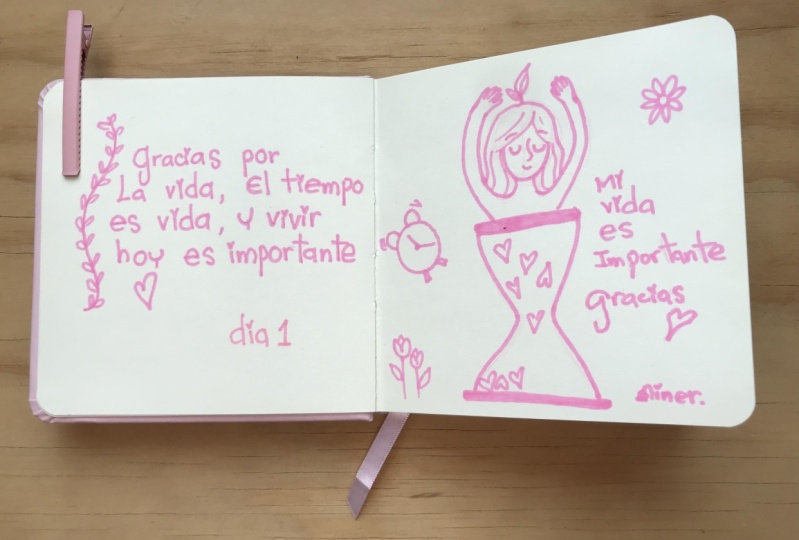 Diario ilustrado de gratitud 21 días