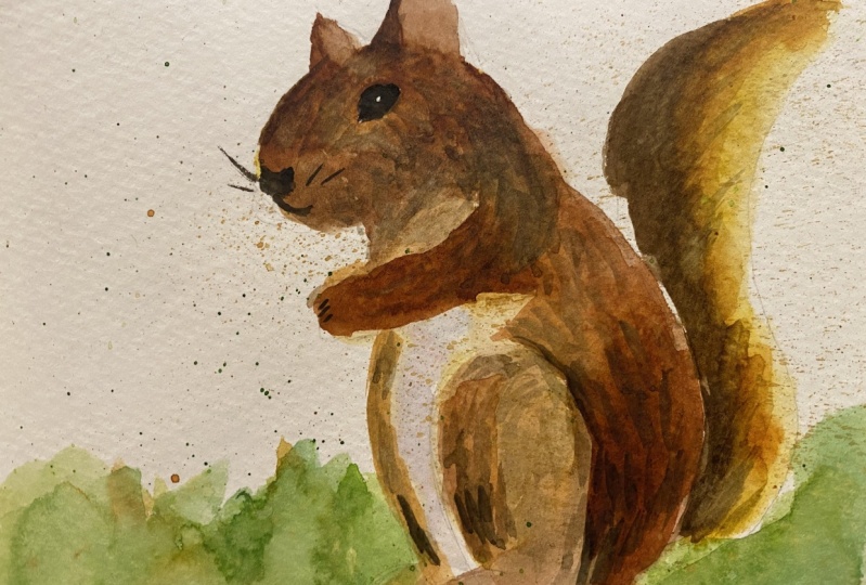 Watercolor squirrel