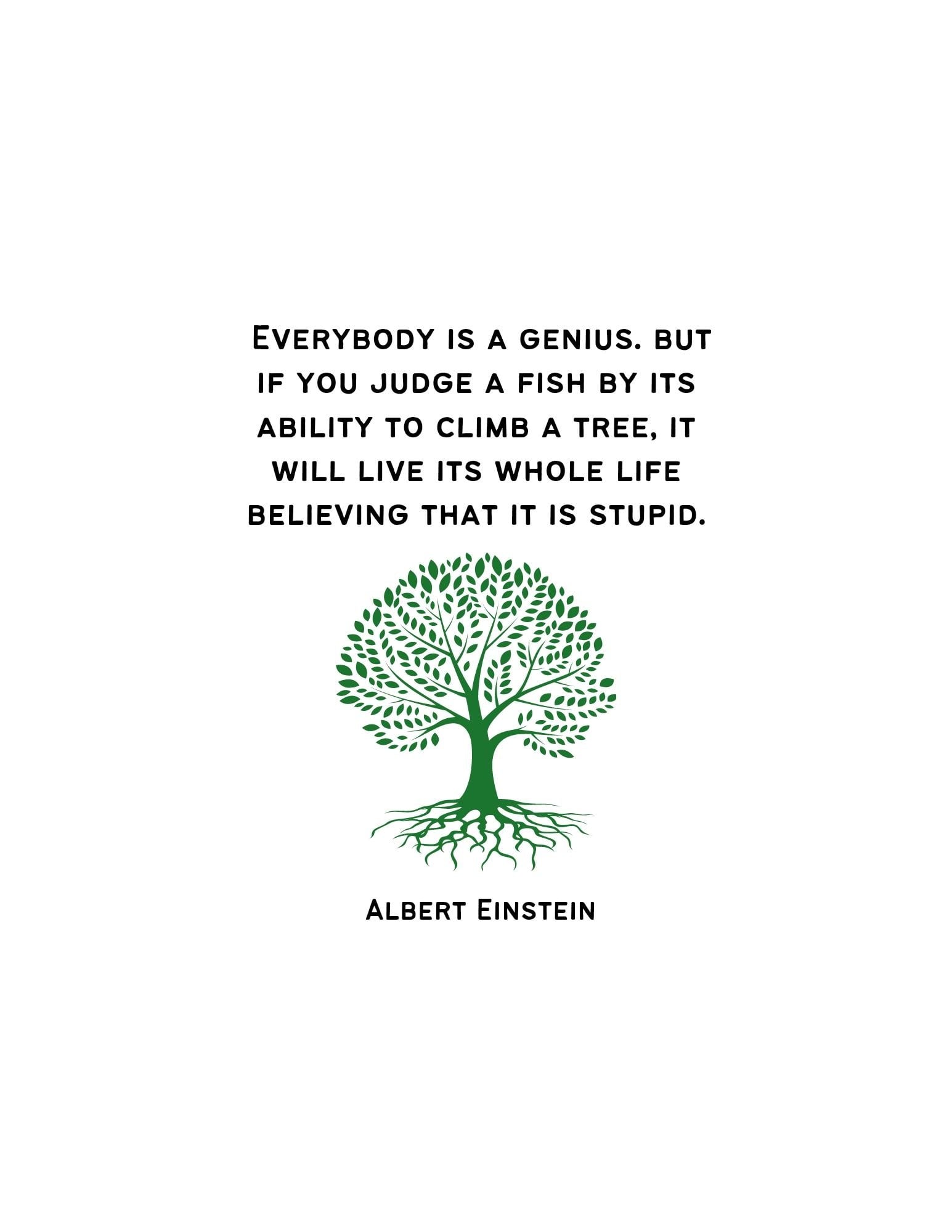 Einstein Quote - student project