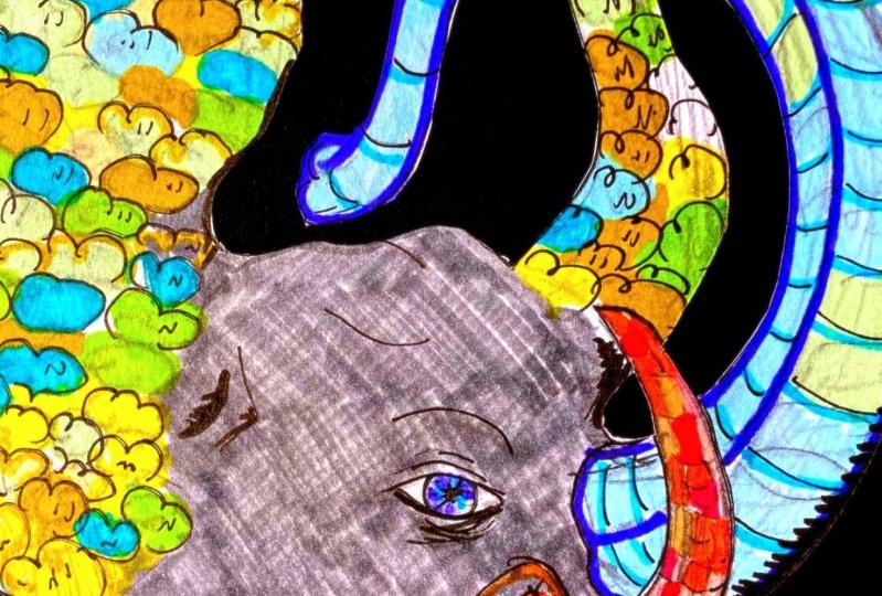 animal totem o