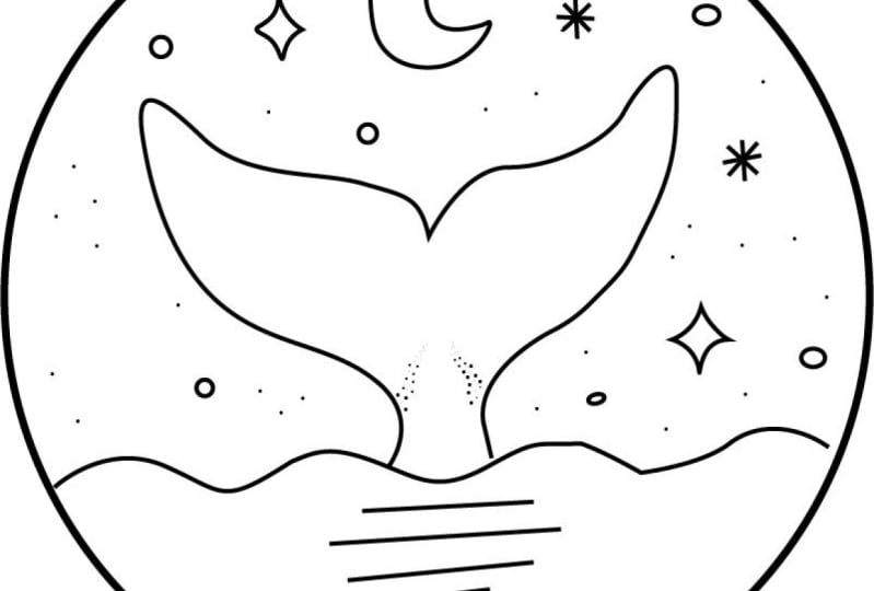 Project 01 - Tracing the Drawing