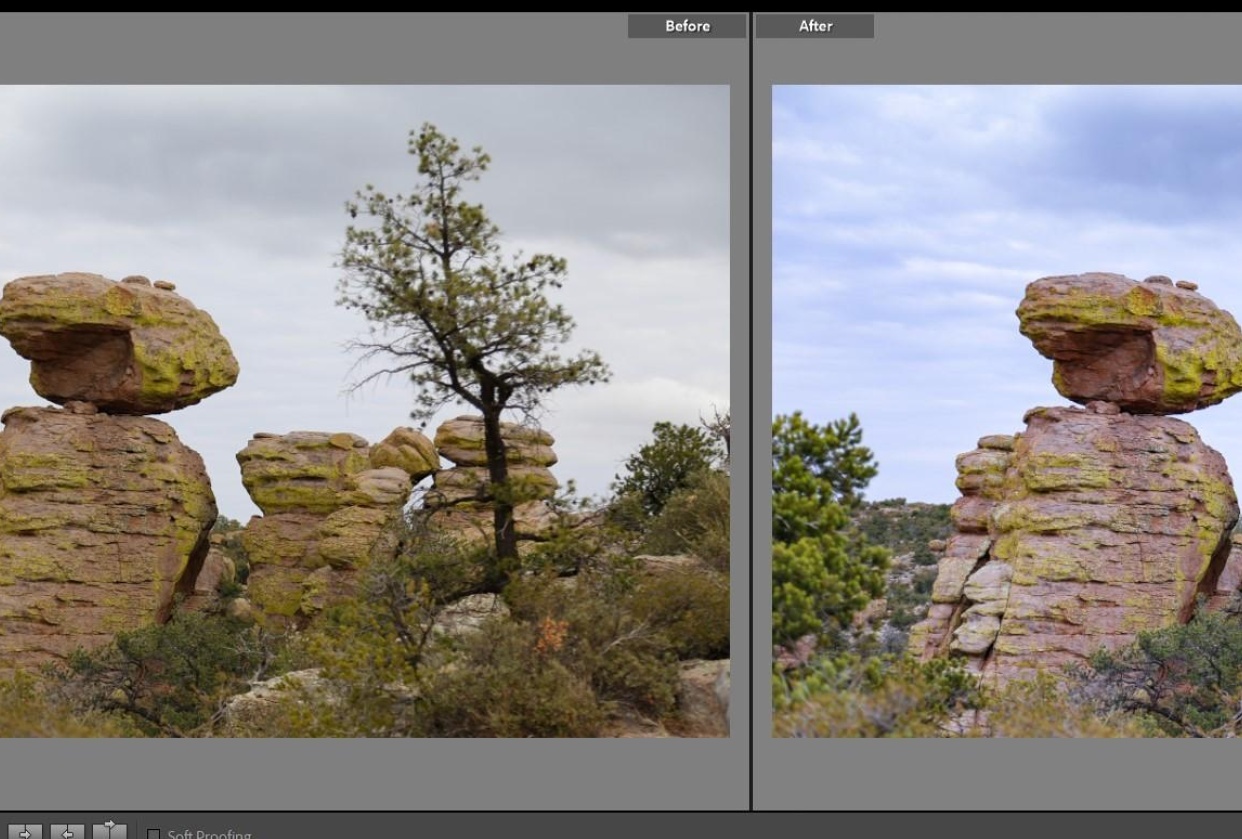 Rock and Bushes - student project