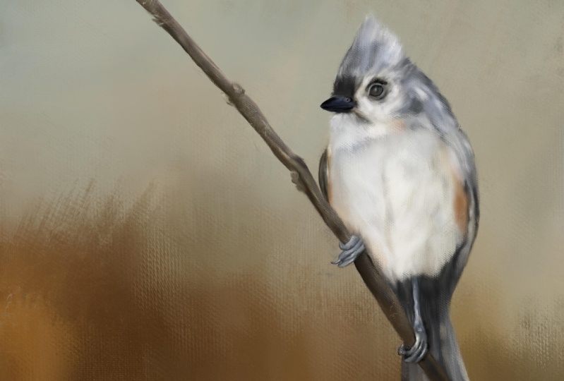 Song Bird