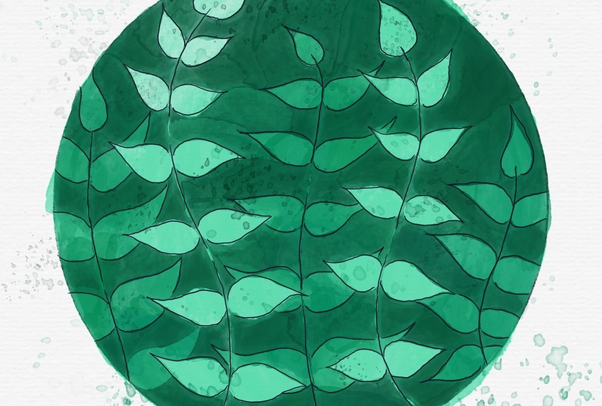 Embracing Imperfections - student project