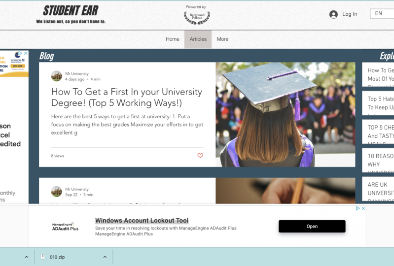 Branded Blog Website Example