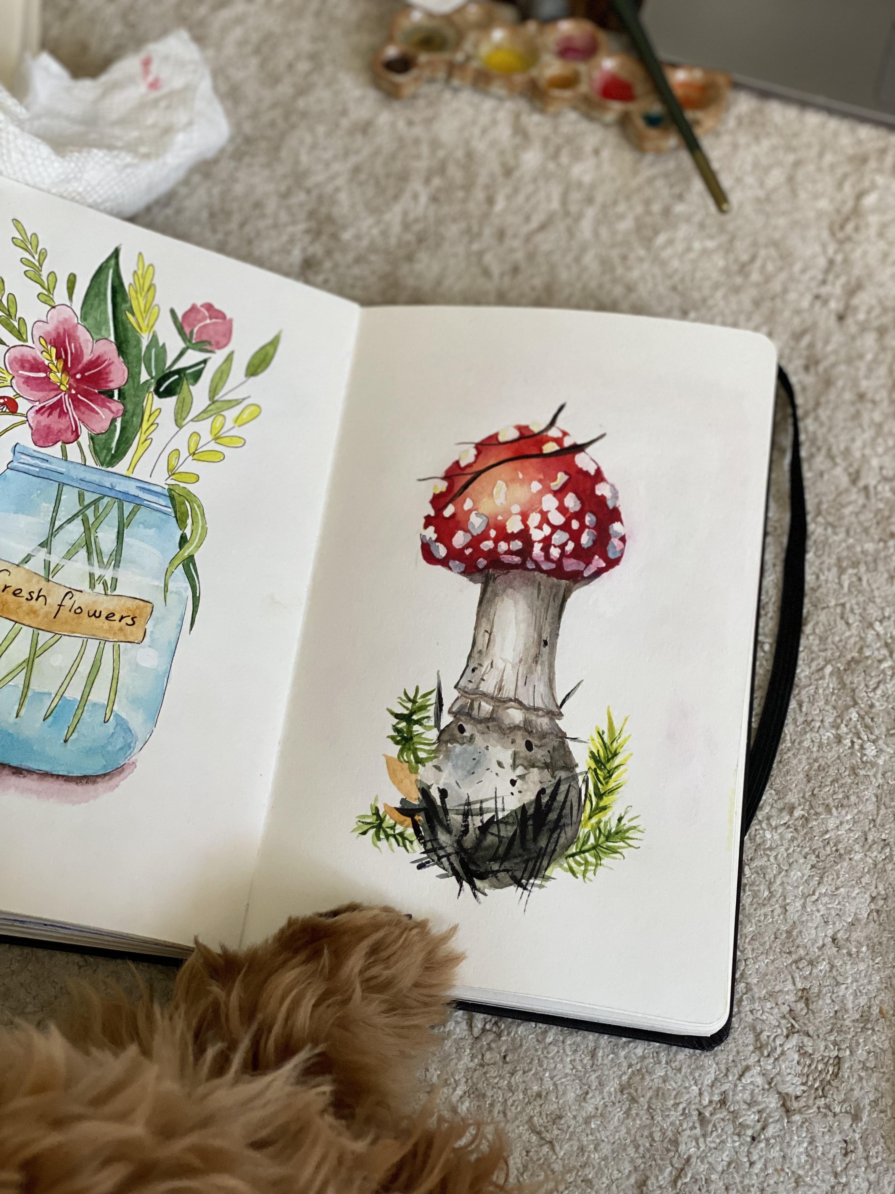 Mushroom project - student project
