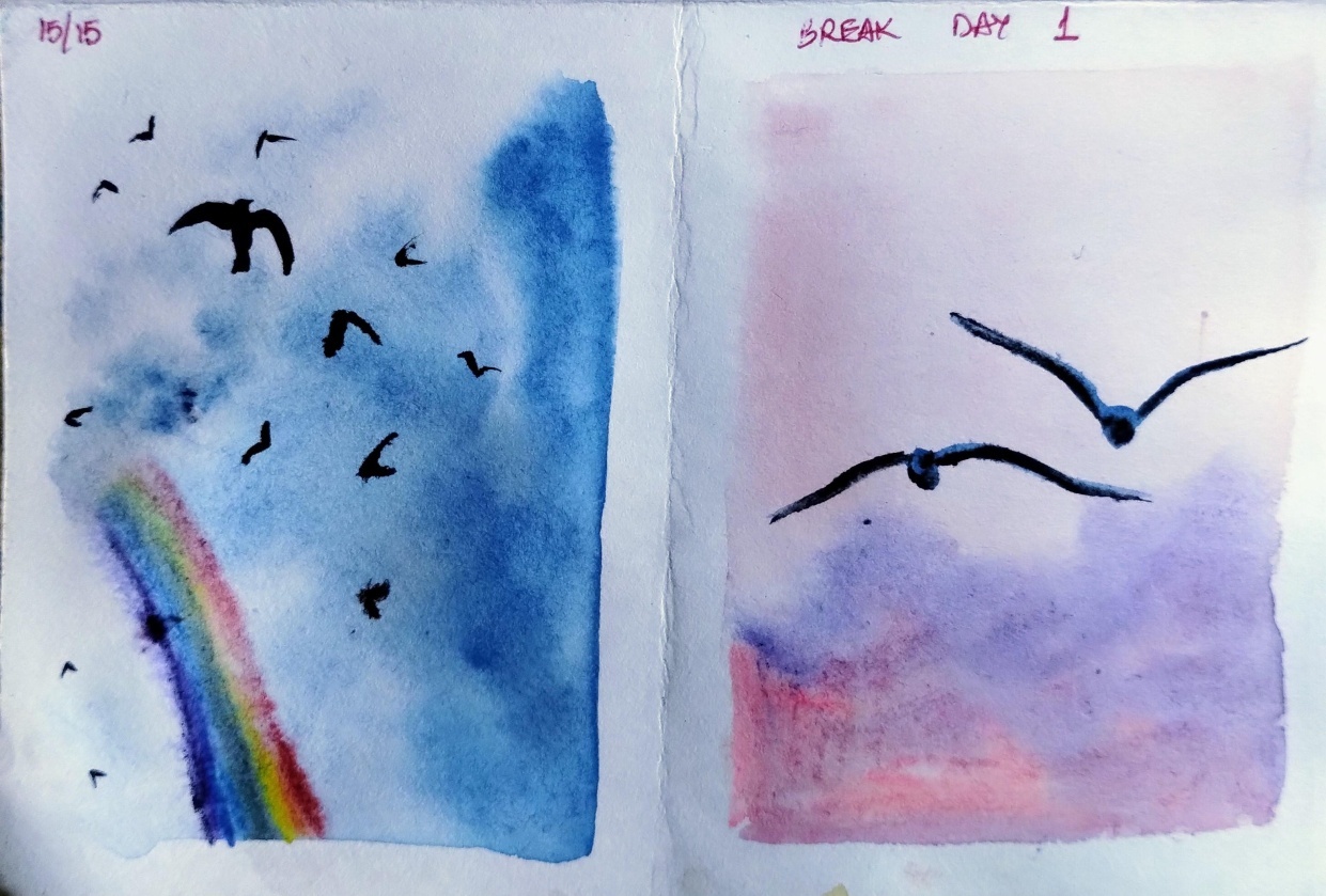 15 days skies and birds with Eswari - student project