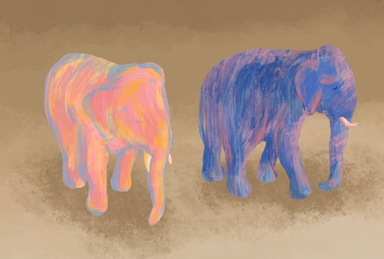 Textured Elephants - student project
