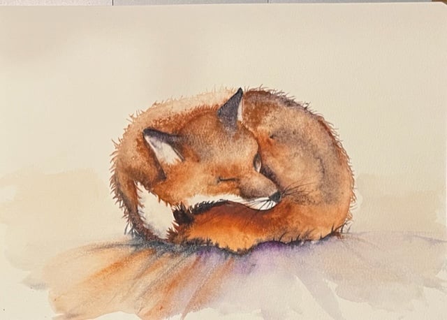 Fern the Sleeping Fox - student project