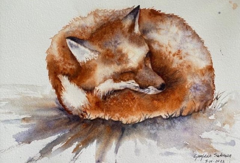 Sleeping Fox