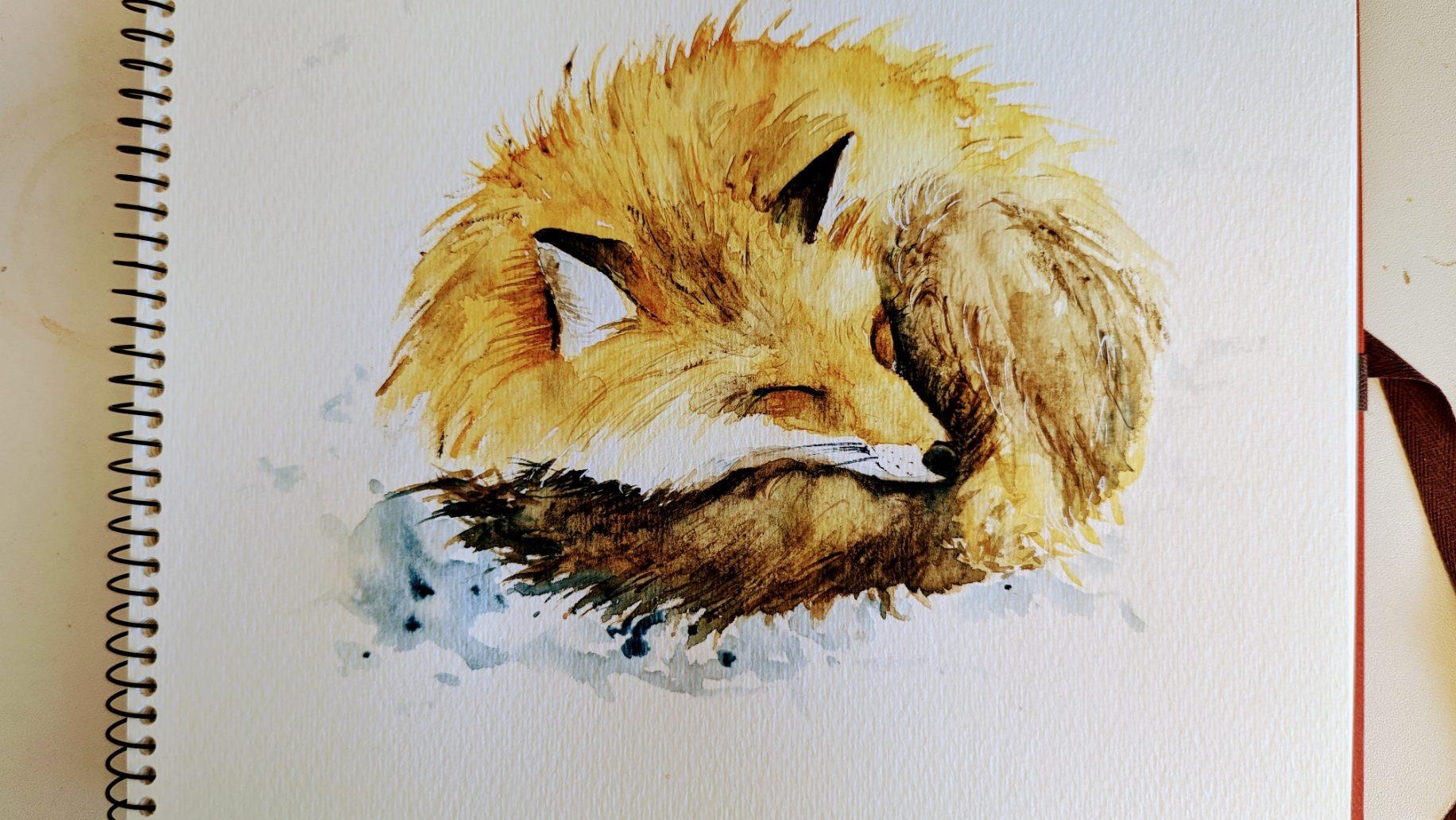 Sleeping fox - student project