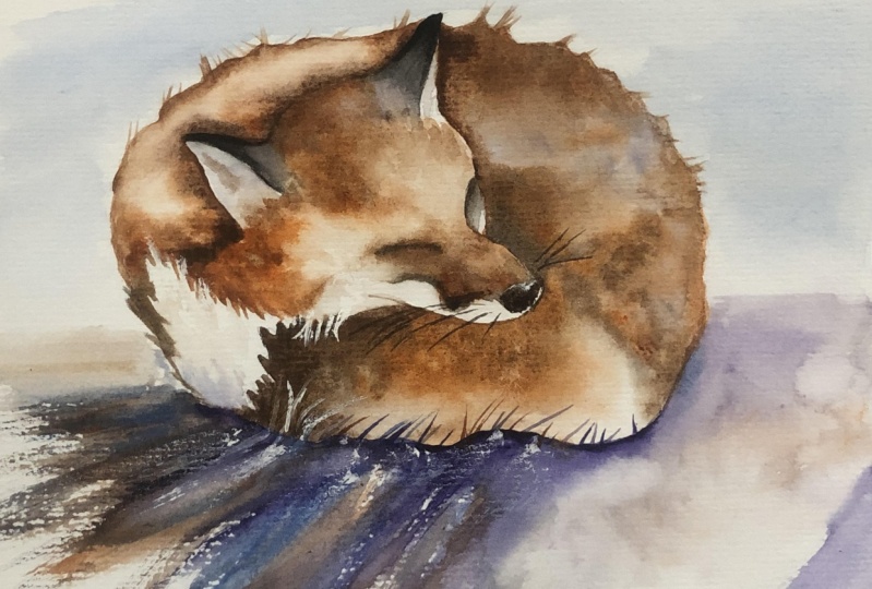 Sleeping free-flowing watercolor fox