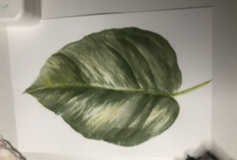 Hoja realista