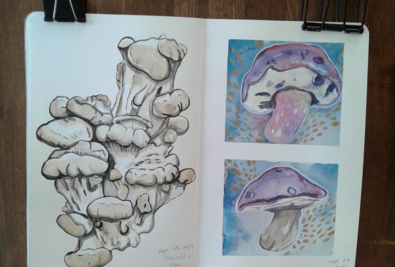 Mixed Media Mushrooms