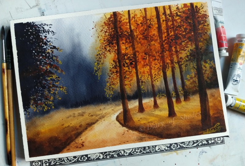 Misty Autumn Forest Landscape