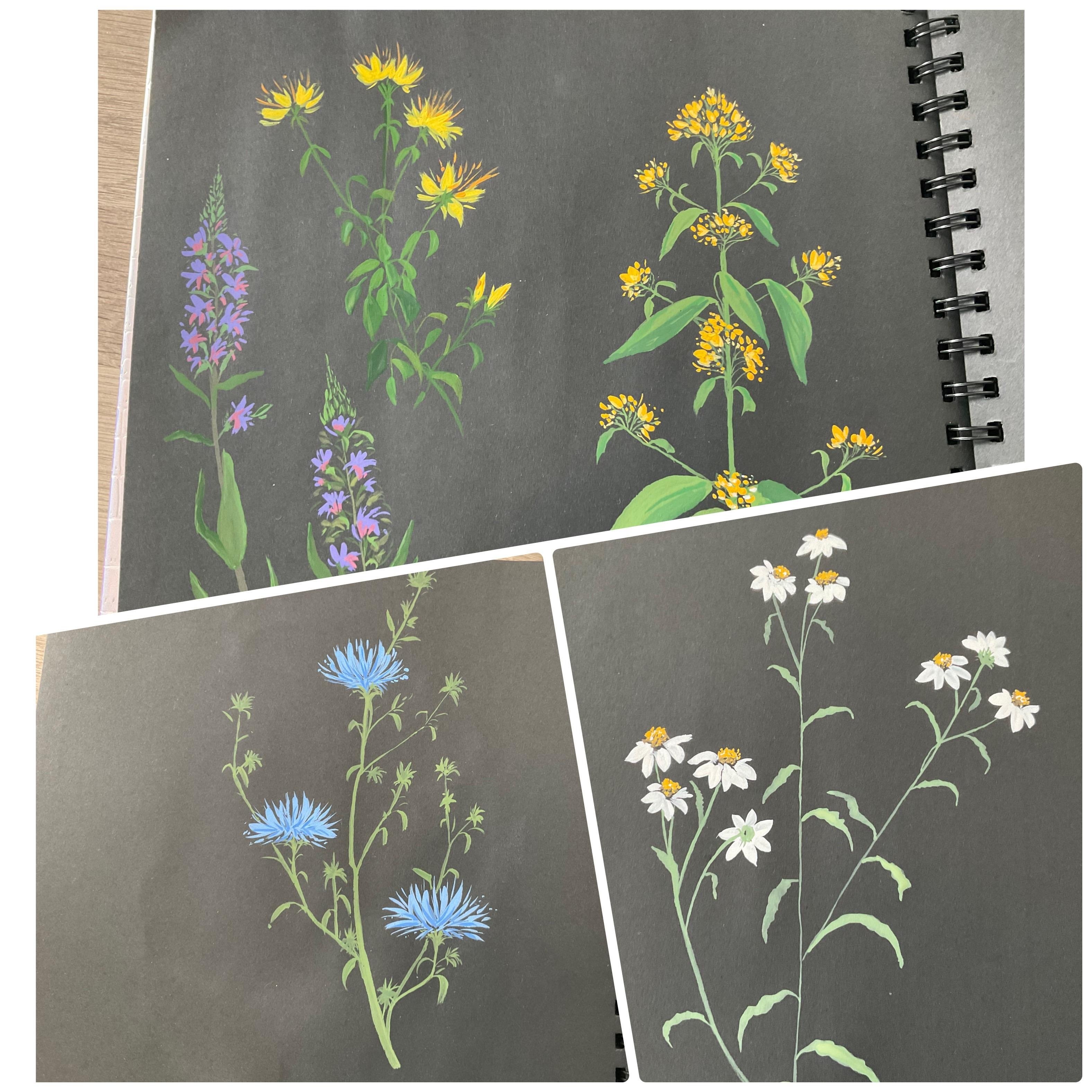 more-projects-from-class-img