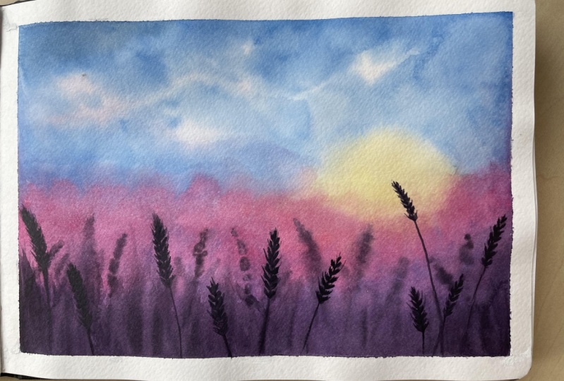 Countryside sunset