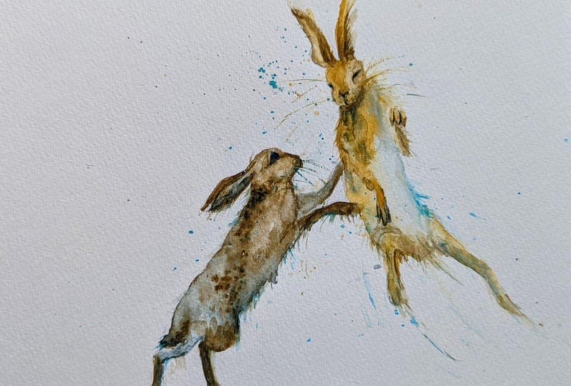 Boxing Hares