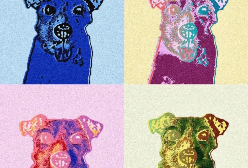 Warhol inspired Colourful Animal Images