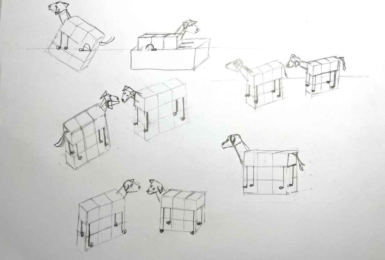Box dogs - student project