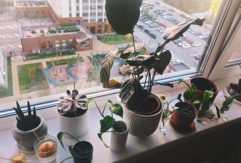 Planting as a meditative break activity