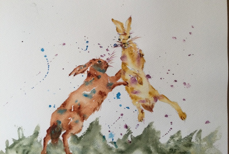 Feisty Hares
