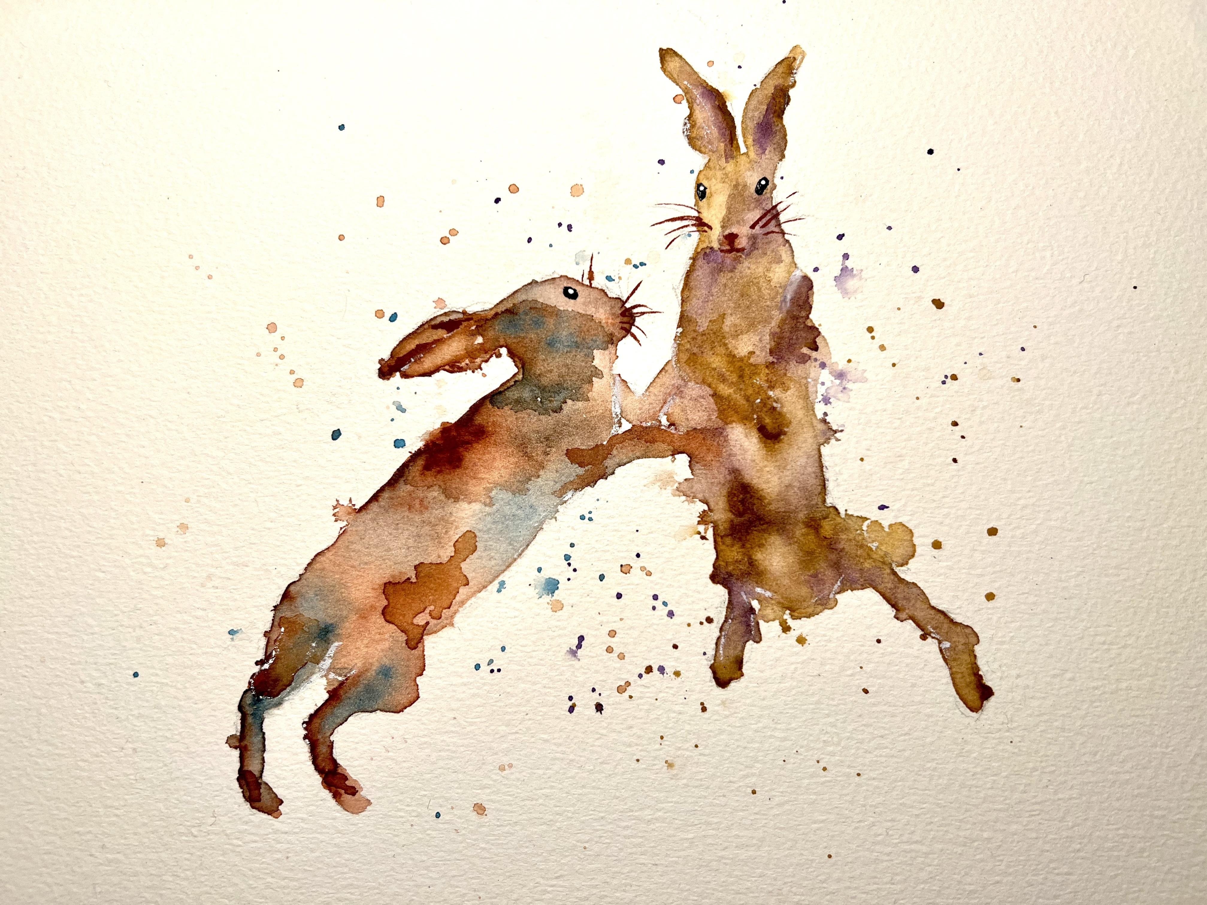 Boxing Hares - student project