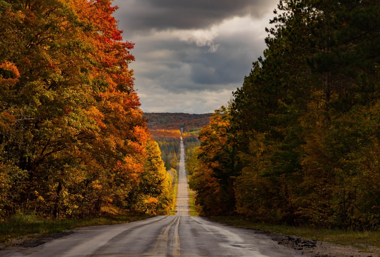 Fall Roads - student project