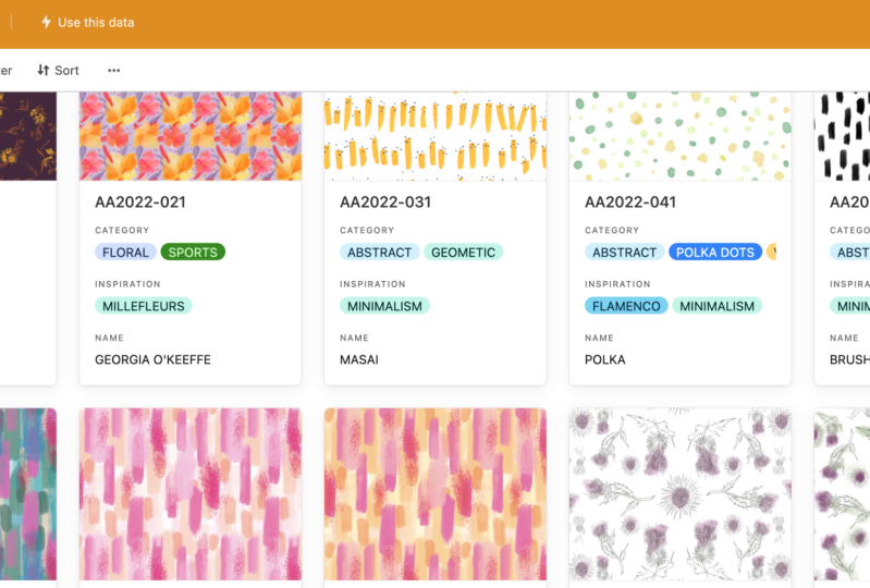 Portfolio Organization System For Surface Pattern Designers Beatriz