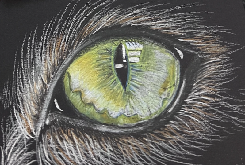 Cat eye