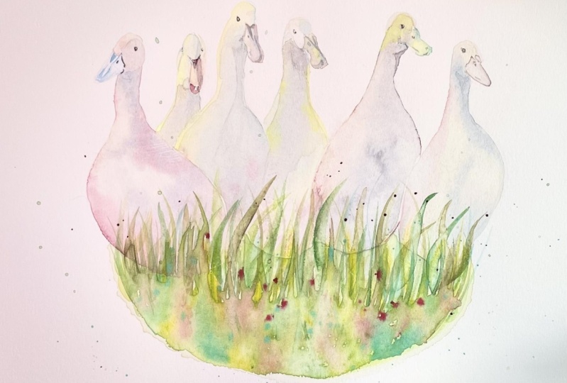 Duck Island (watercolor)
