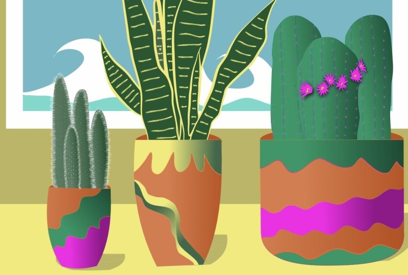 Cacti