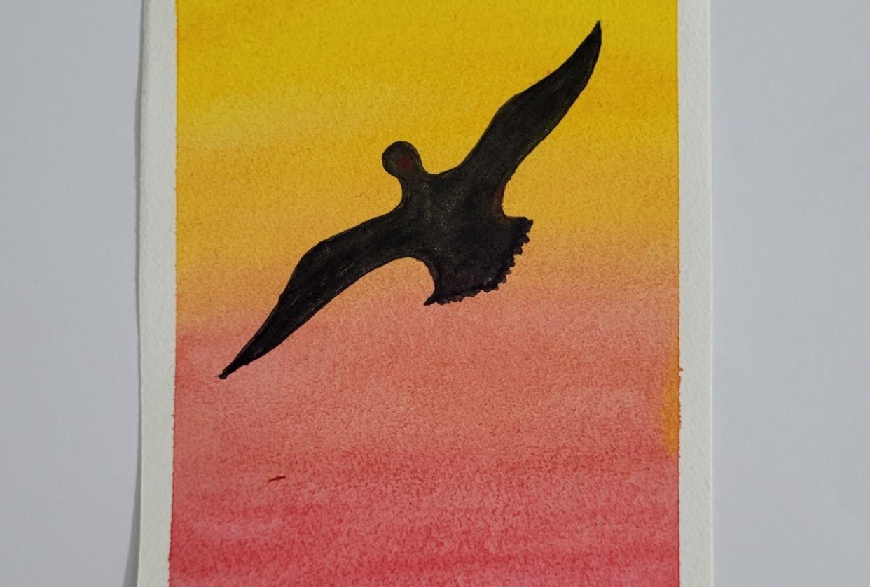 Sky and Birds - student project