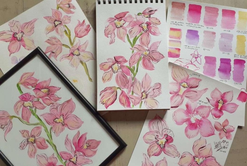 Orchidées