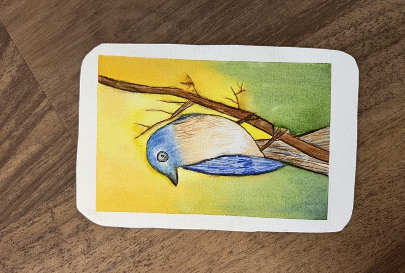 Blue bird
