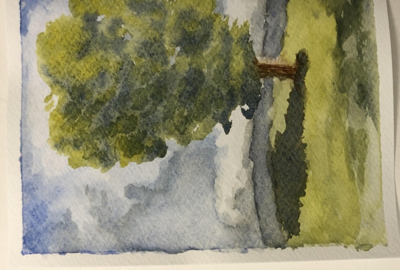 loose trees