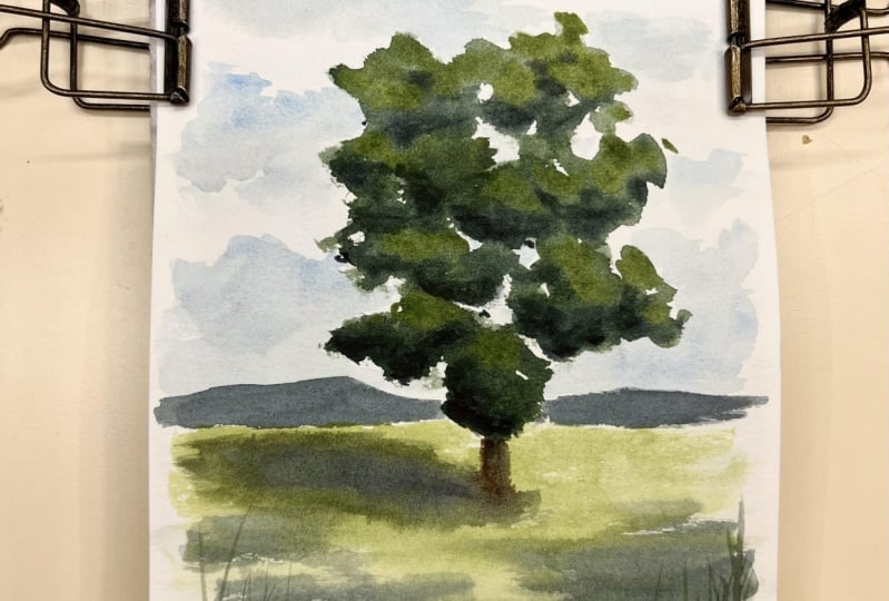 Tree practice