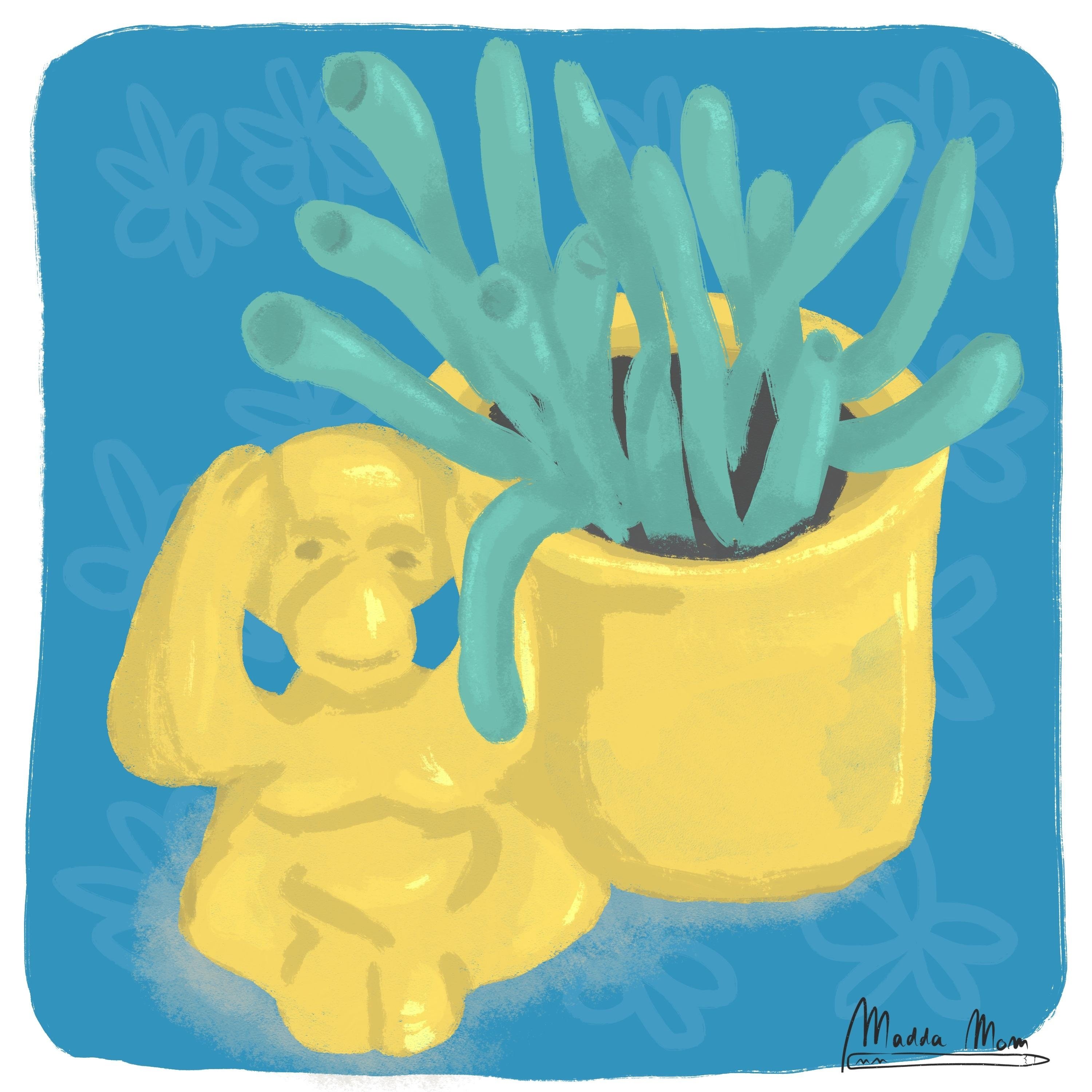 more-projects-from-class-img