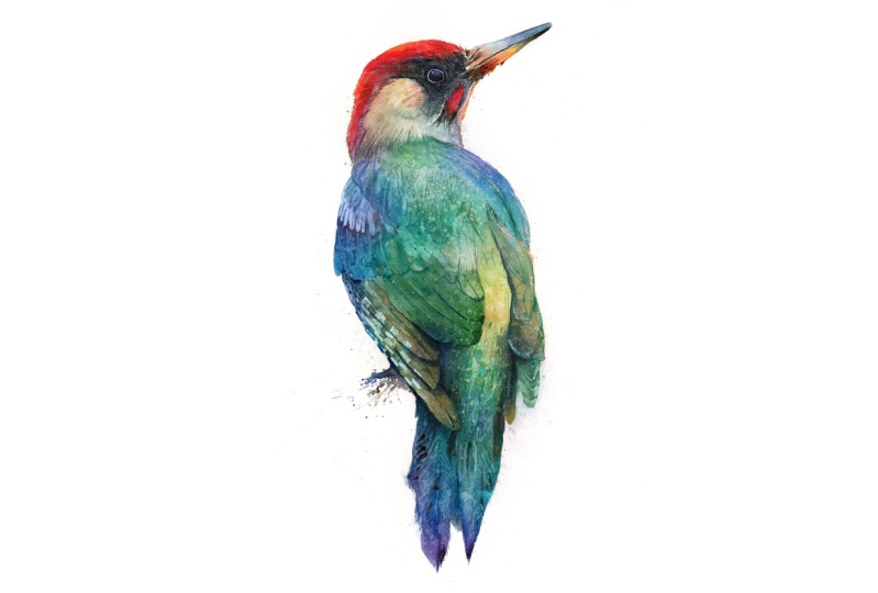 Woodpecker from my latest class...
