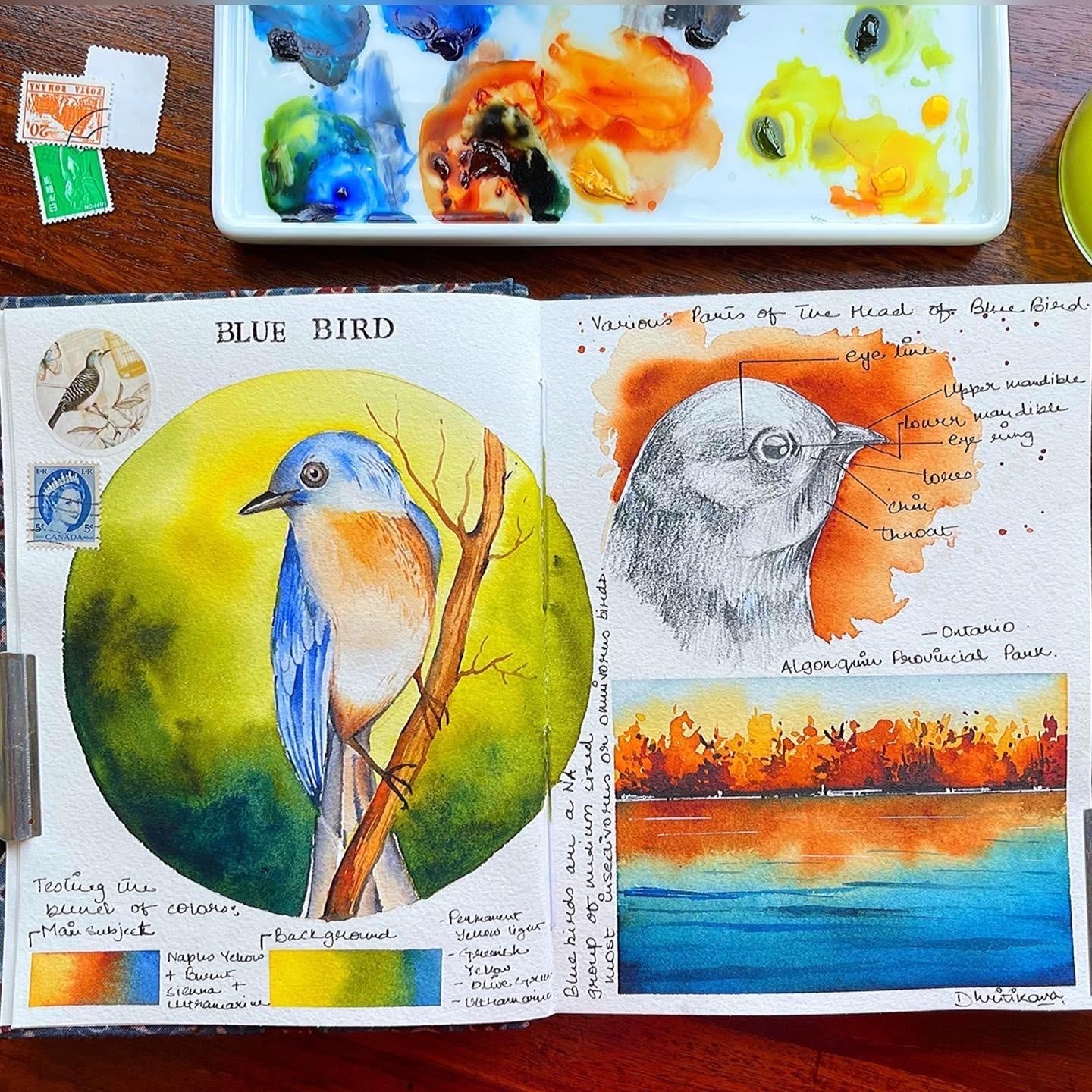 more-projects-from-class-img
