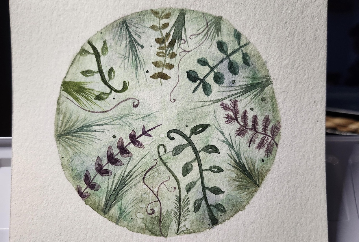 Timid try - student project