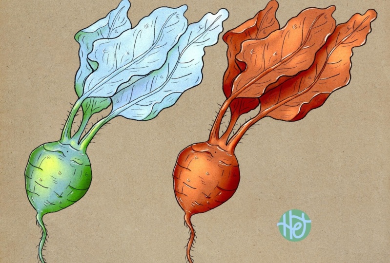 Make your illustration pop in Procreate