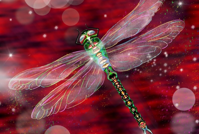 Dragonfly
